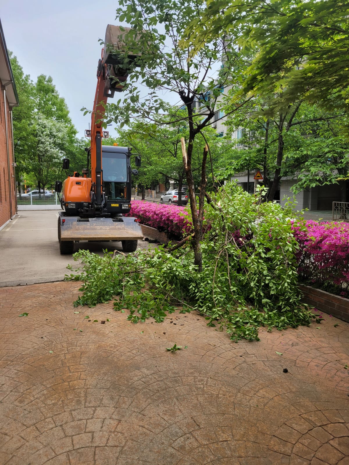 화단 흙과 식재를 걷어낸 철거 현장 모습