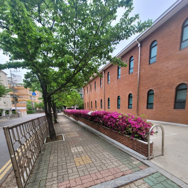 화단철거 하자 철거 전 경계석이 설치된 철쭉 화단