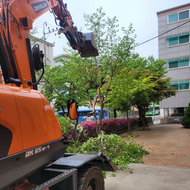 화단철거 경계석 굴착기로 화단 수목을 정리하는 작업